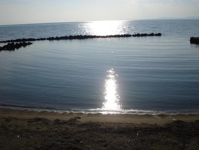 DSC08003 - 2008 REVELION CORFU