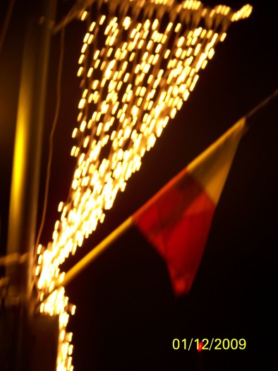 100_6058 - 1 Decembrie Timisoara