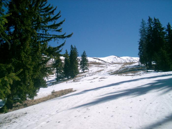 04120081 - Iezer-Papusa