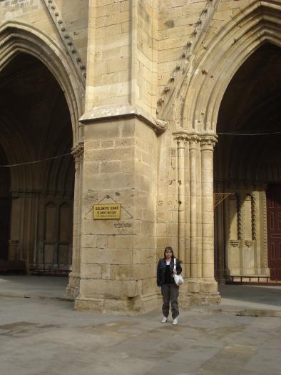 Picture 416; Nicosia de Nord (Turcia)
