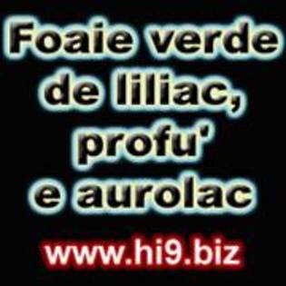 foae verde de liliac  profu e aurolac