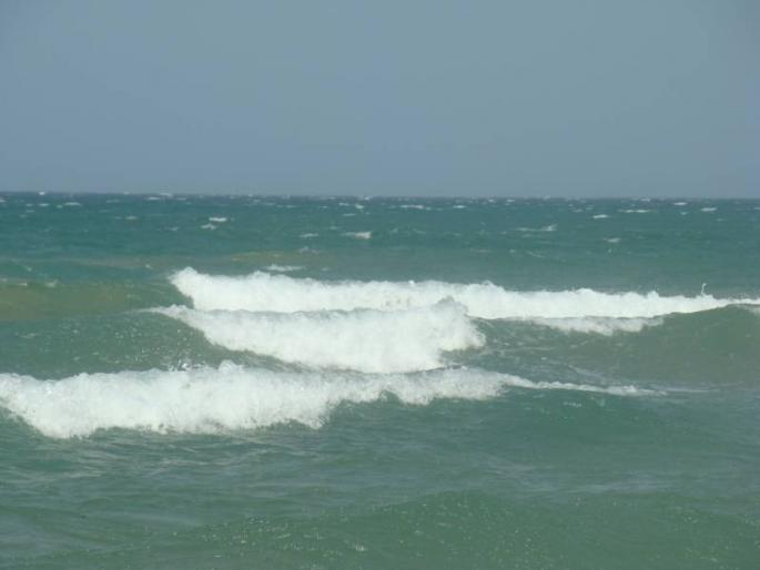 DSC05330