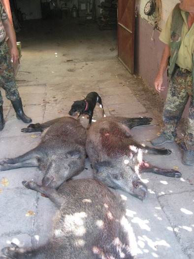 IMG_4198 - 2009-2010 Stolna Cluj