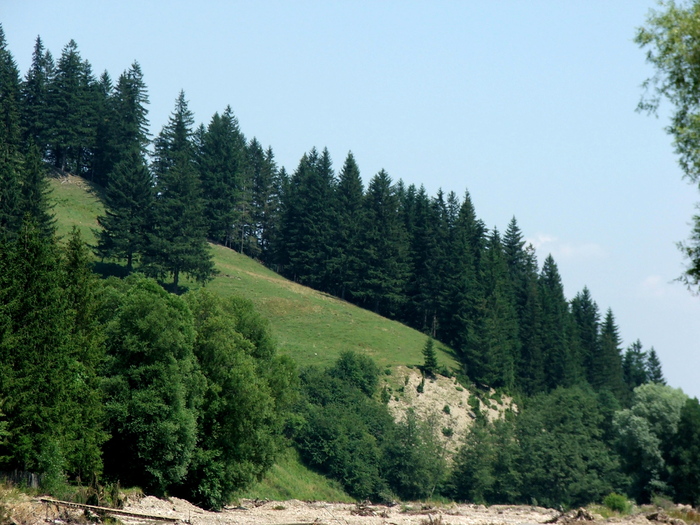 DSCF1676 - peisaje_Bucovina