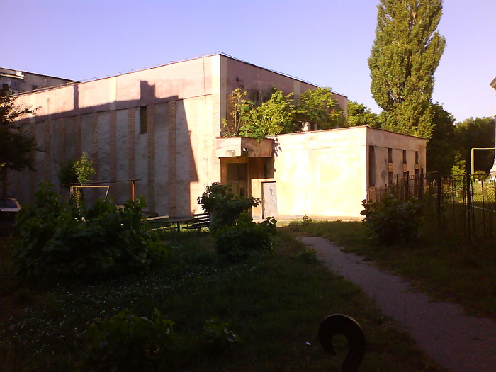 DSC05439