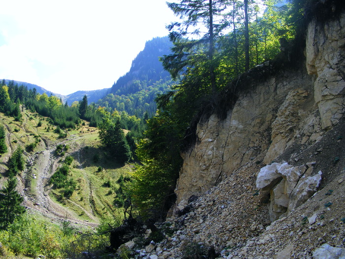 DSCF6345 - muntii Rodnei