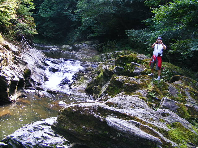 DSCF5184