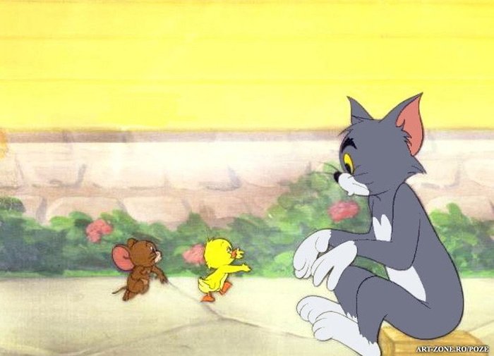 tom - Tom sh Jerry