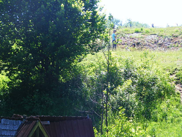 DSCF2022 - varful Ignis Maramures