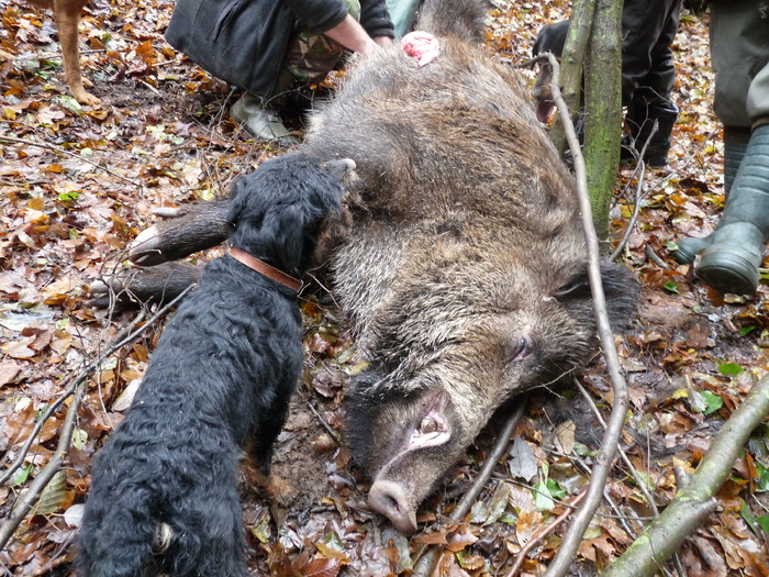 P1210690 - 2009-2010 Stolna Cluj