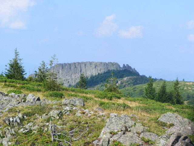 DSCF4475