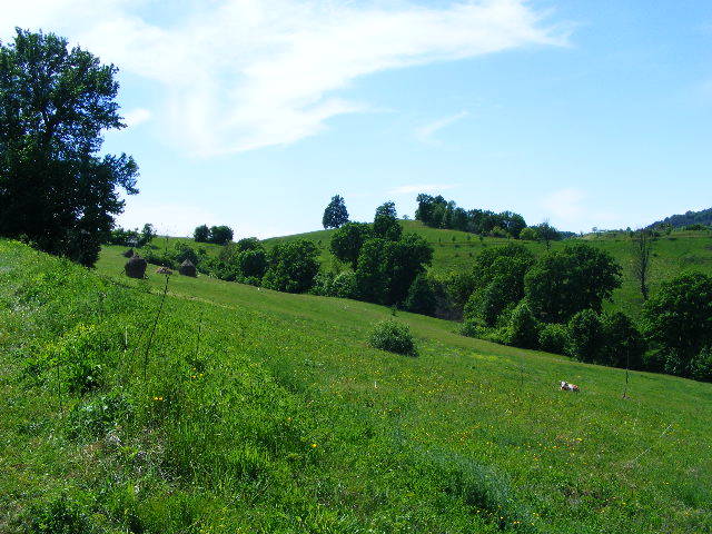 DSCF0612