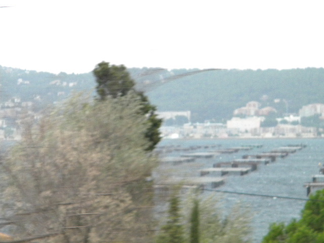 DSCN1585