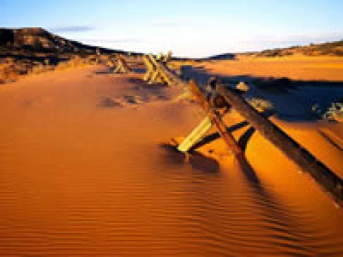 98 - poze din desert