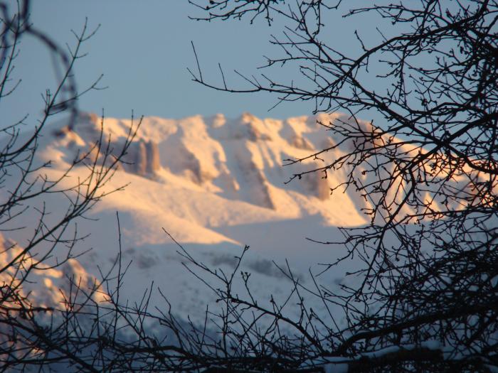 DSC05664 - poze Ianuarie 2009