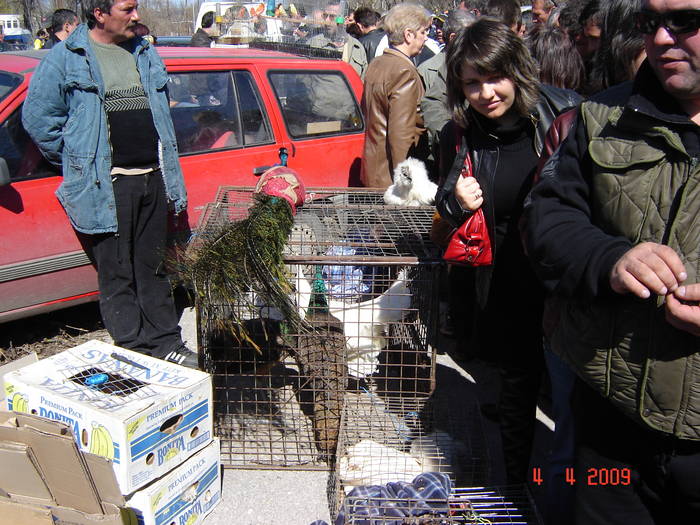 DSC03544 - targ Shumen BG 2009