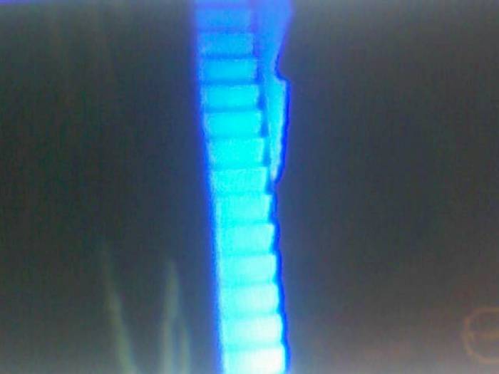 snapshot-391 - Sora lui Cleo Kim