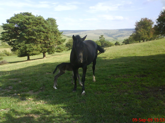 DSC02053 - zootehnie