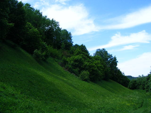 DSCF0598