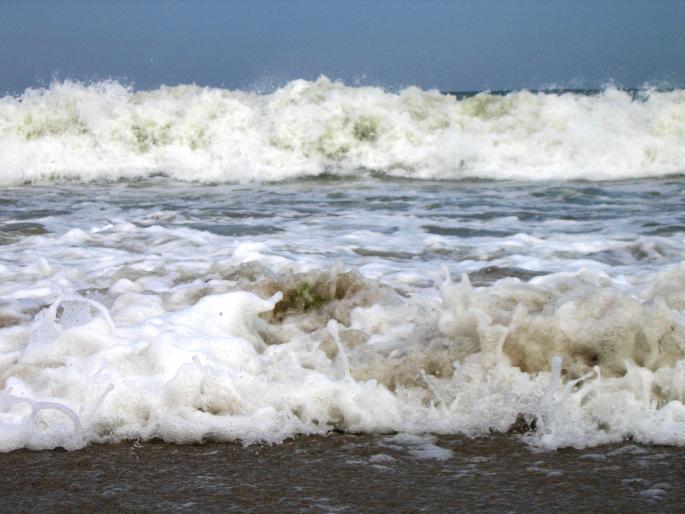 QPPOWGDVVUJGCIJCDHW[1]