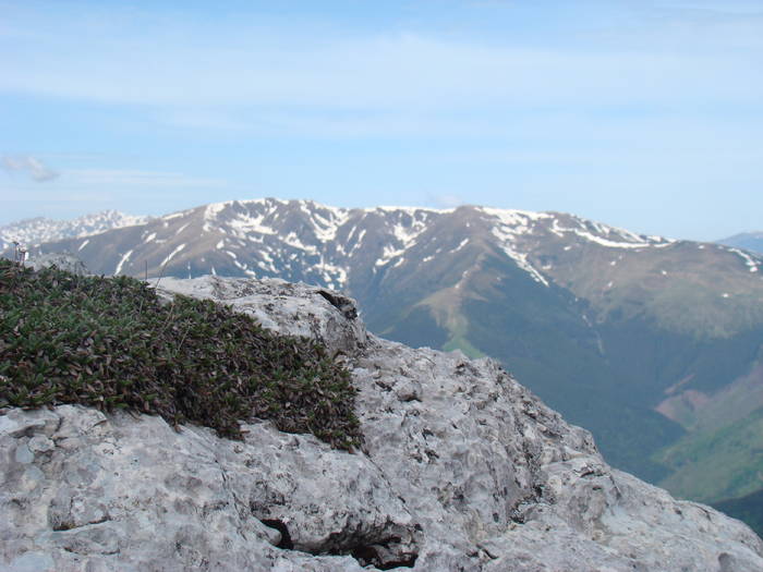 DSC03274 - Piatra Craiului MAI