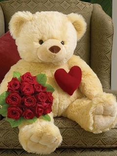 Teddy_Bear