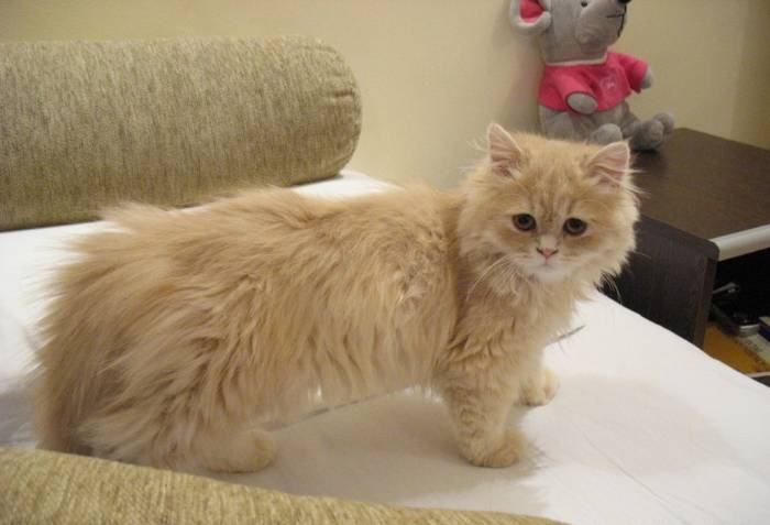 05-21-08-15-29-04378