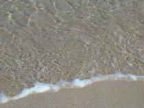 Mare