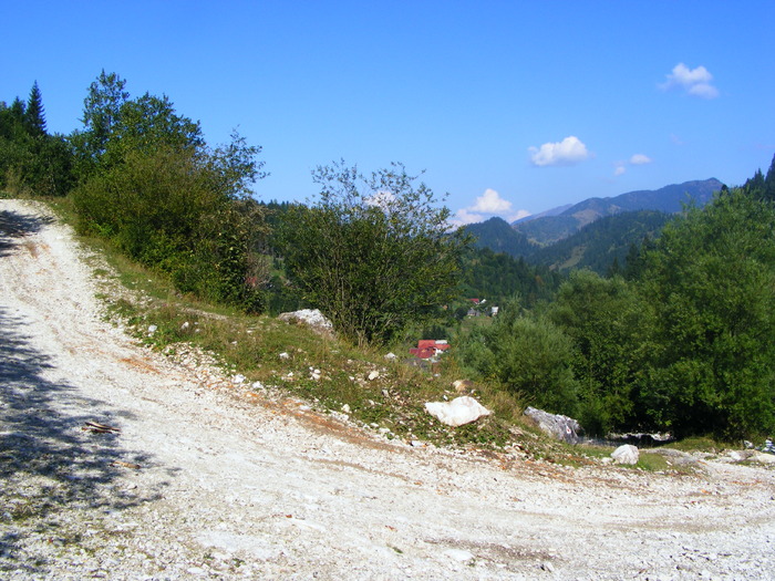 DSCF6291 - muntii Rodnei