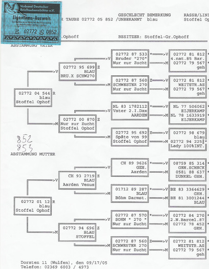 Stoffel-Gr.Ophoff - Philip Bassel pedigree