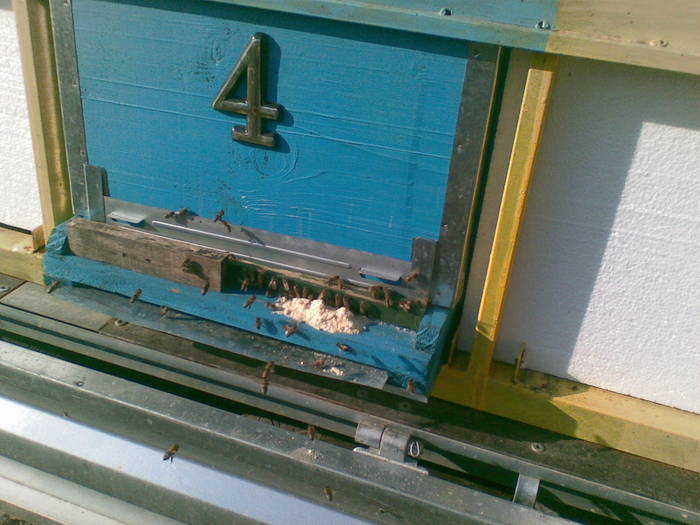 06022009 - vanatoare padure