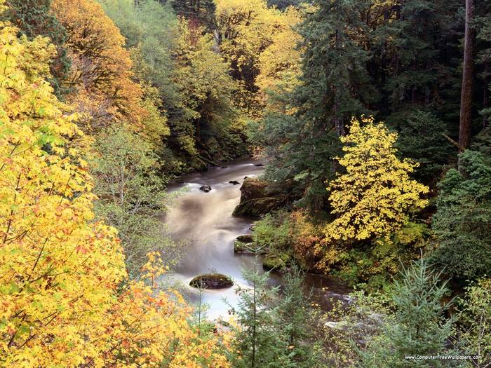 Autumn Color, Coquille River, Oregon - Very Beautiful Nature Scenes