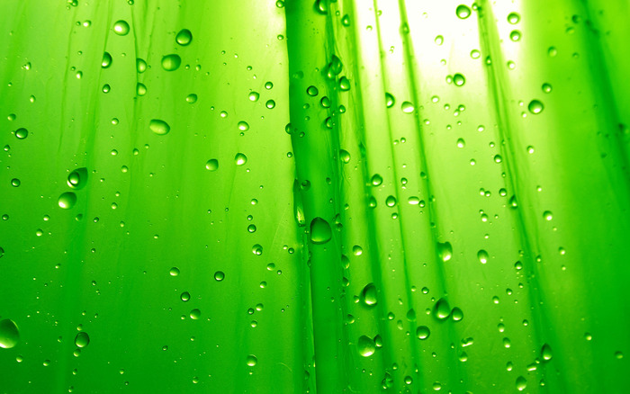 1831_greensimplicity_2560x1600 - Amazing Widescreen Wallpapers