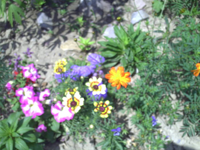 PICT0074