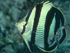 090 - poze muuuuuuuuuuuuuulte