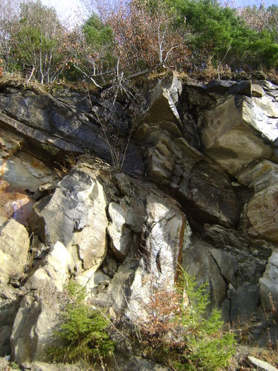 DSC07769 - UN DRUM LA CABANA BOLBOCI