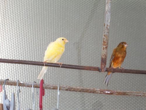 post-30859-1152387810_thumb[1]