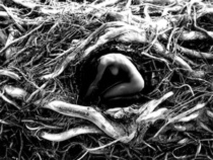 UGSHUBVTLAQLFDOTAFN[1]