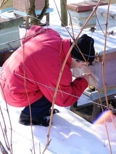 2009_0111(039)