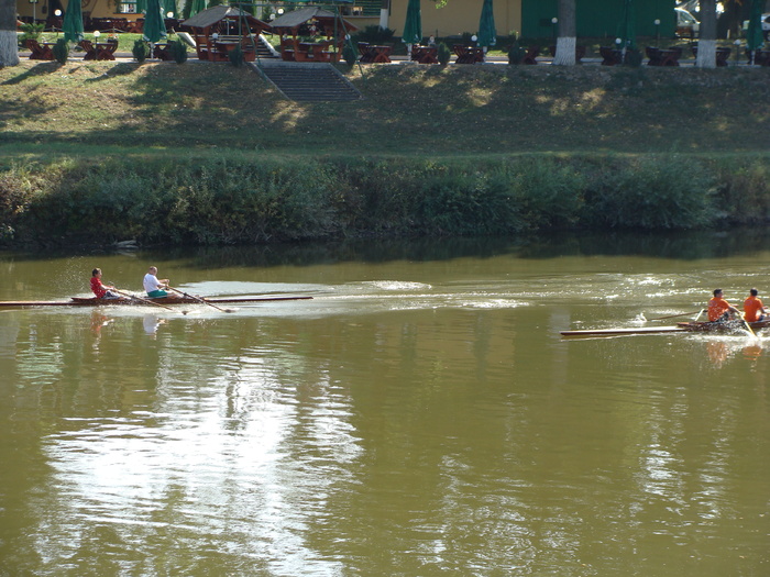 Concursul Cupa Mures 2009