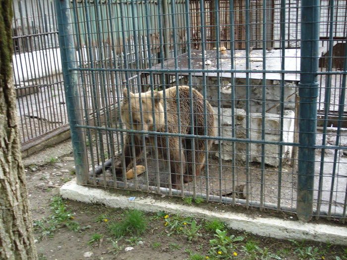 Picture 113