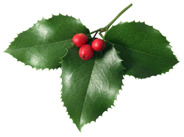 (30) - Christmas Wallpapers