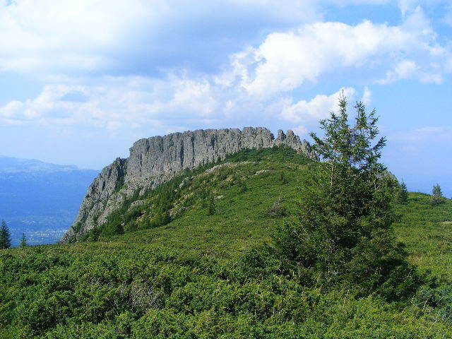 DSCF4457 - 2 august 2009 Traseu Suior Secatura Creasta Cocosului Gutaiul Doamnei  Vf Gutai