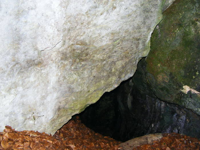 DSCF1109 - Pestera cu Oase  poiana Botizii 22 mai 2009