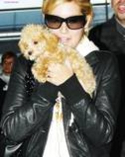 raraaaaaaaaaaaa - ASHLEY TISDALE POZE RARE