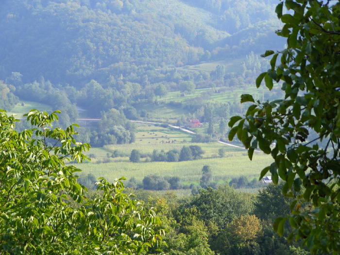 DSCF0453