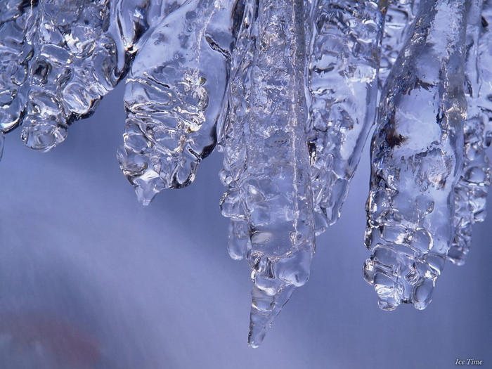 Christmas Wallpapers (310)