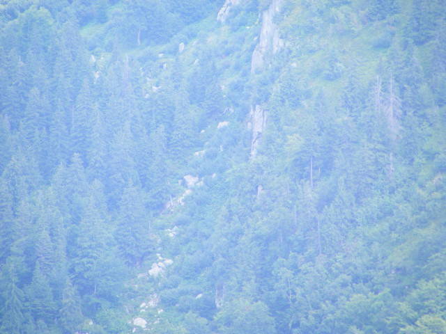 DSCF4445 - 2 august 2009 Traseu Suior Secatura Creasta Cocosului Gutaiul Doamnei  Vf Gutai