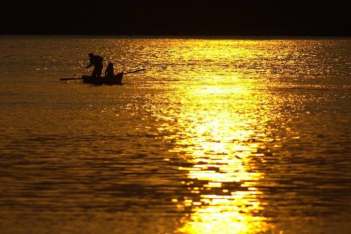 goldfishin039-6_1