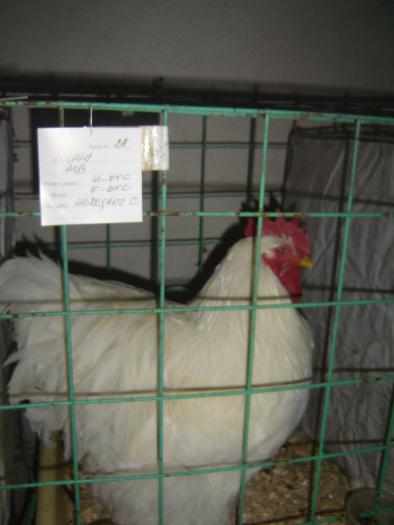 10-14 nov 2008 007